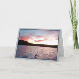 Wildness: Eine Zivilisation anders als unsere Karte