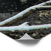 Wildnis 8 cmyk poster (Ecke)