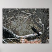 Wildnis 8 cmyk poster (Vorne)