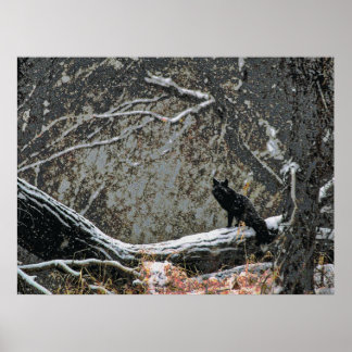 Wildnis 8 cmyk poster