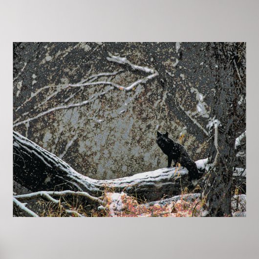 Wildnis 8 cmyk poster (Vorne)