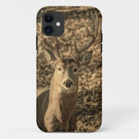 Wildnis Camouflage Outdoorsman