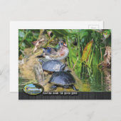 Wildnis entlang des Silver River Postkarte (Vorne/Hinten)