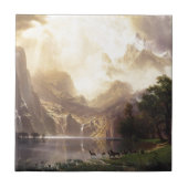 Wildnis Fliese (Vorderseite)