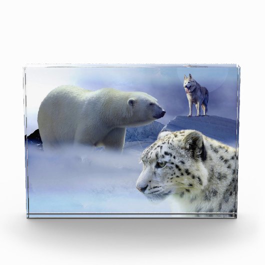 Wildnis Fotoblock (Vorderseite)