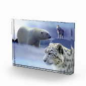 Wildnis Fotoblock (Rechts)