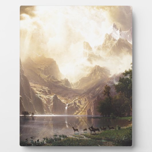 Wildnis Fotoplatte (Vorderseite)