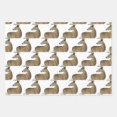 Wildnis Geschenkpapier Set (Vorderseite)