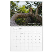 Wildnis in Borneo Kalender (Feb 2027)