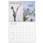Wildnis in Borneo Kalender (Mär 2027)