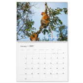 Wildnis in Borneo Kalender (Jan 2027)