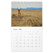 Wildnis Kalender (Jan 2026)