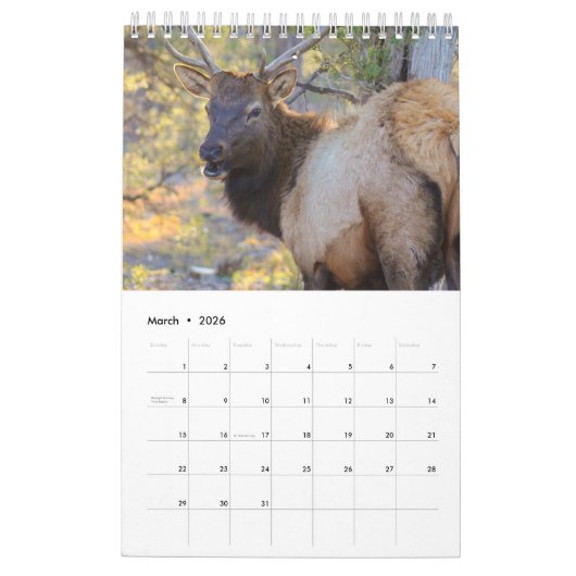 Wildnis Kalender (Mär 2026)