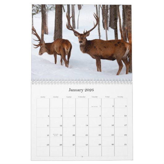 Wildnis Kalender (Jan 2026)