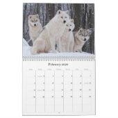Wildnis Kalender (Feb 2026)
