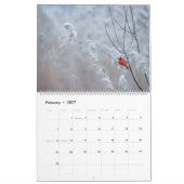 Wildnis-Kalender Kalender (Feb 2027)