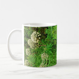 Wildnis, Natur, Pflanze Fotografie Tasse