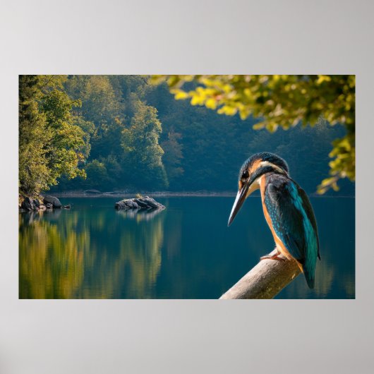 Wildnis Poster (Vorne)