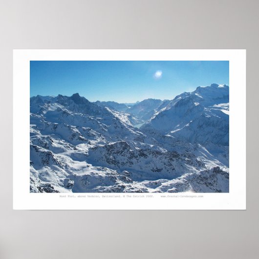 Wildnis Poster (Vorne)