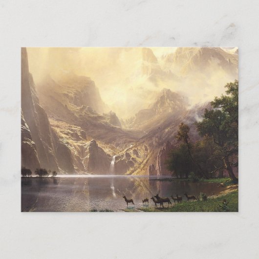 Wildnis Postkarte (Vorderseite)