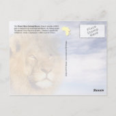 Wildnis von Maasai Mara in Kenia Postkarte (Rückseite)