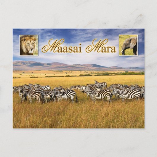 Wildnis von Maasai Mara in Kenia Postkarte (Vorderseite)
