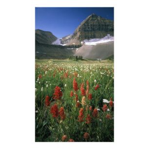 WILDNIS VON MOUNT TIMPANOGOS, UT, US, FOTODRUCK