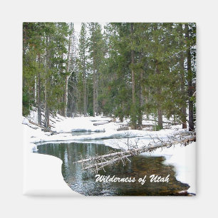 Wildnis von Utah Magnet