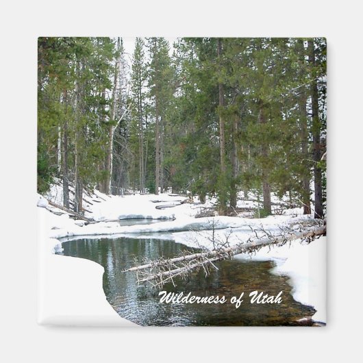 Wildnis von Utah Magnet (Vorne)