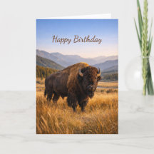 Wildnislandschaft Amerikanischer Bison Geburtstag
