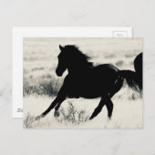 WILDPAPIERPRODUKTE POSTKARTE (Vorne/Hinten)