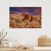 Wildpferd im Harney County steht wachsam Poster (Küche)