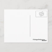 Wildpferd mit Fohlen-Postkarte Postkarte (Rückseite)