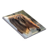 Wildpferd Notizblock (Rechte Seite)