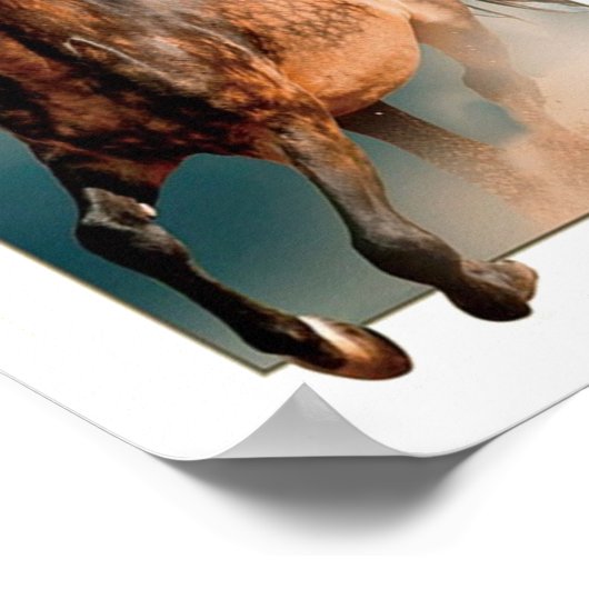 Wildpferd Poster (Ecke)