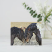 Wildpferd Postkarte (Stehend Vorderseite)