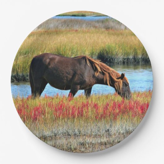 Wildpferde essen in Tellern aus Feldpapier Pappteller (Vorderseite)