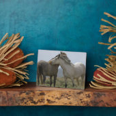 Wildpferde Fotoplatte (Seite)