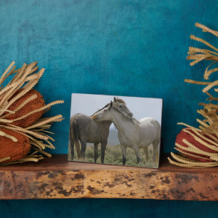 Wildpferde Fotoplatte