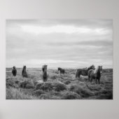 Wildpferde-Landschaft Poster (Vorne)