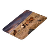 Wildpferde laufen magnet (Linke Seite)