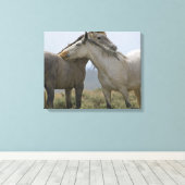 Wildpferde Leinwanddruck (Insitu (Holzboden))