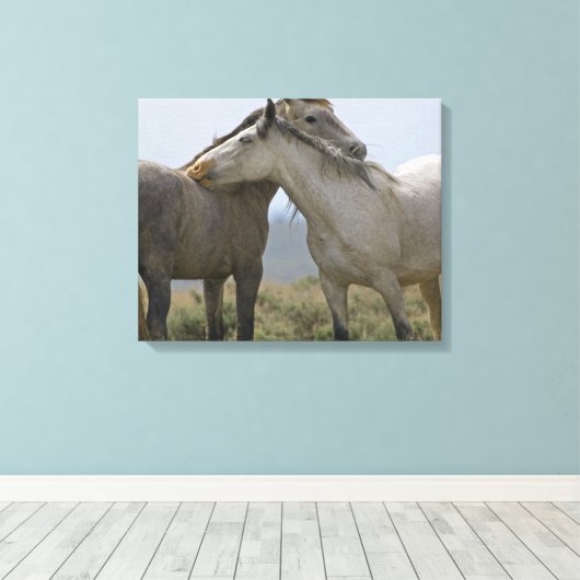 Wildpferde Leinwanddruck (Insitu (Holzboden))