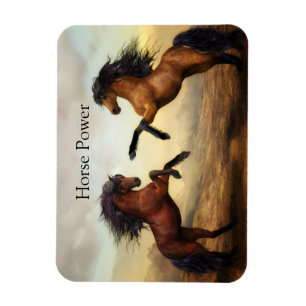 Wildpferde  magnet