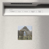 Wildpferde Magnet (In Situ (Geschirrspüler))