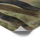 Wildpferde Poster (Ecke)