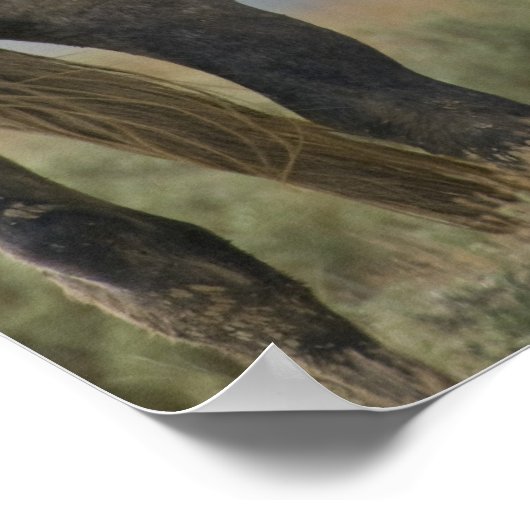 Wildpferde Poster (Ecke)