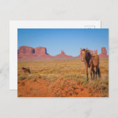 Wildpferde Postkarte (Vorne/Hinten)