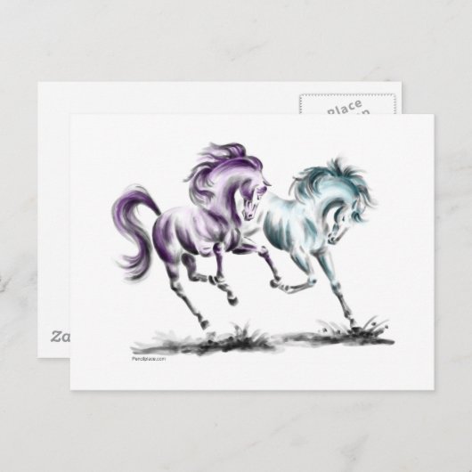 Wildpferde Postkarte (Vorne/Hinten)