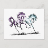Wildpferde Postkarte (Vorderseite)